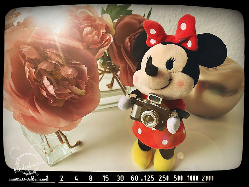 Minnie liebt fotografieren